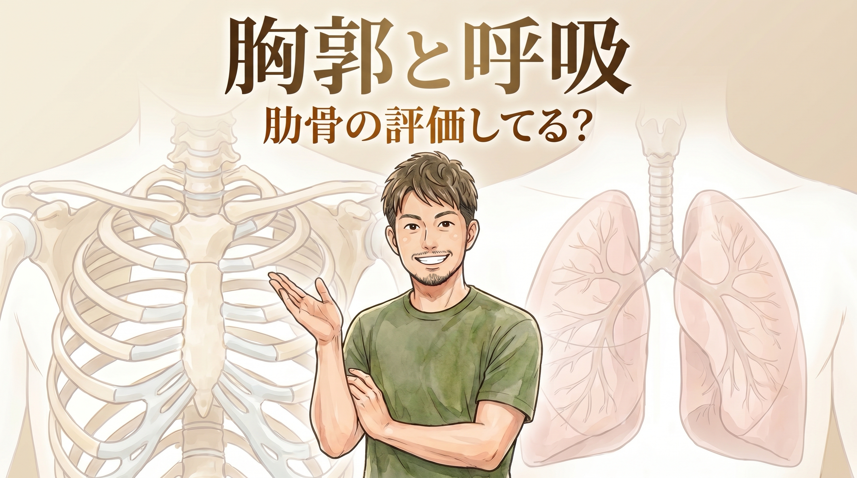 肩こりに関わる胸郭と呼吸