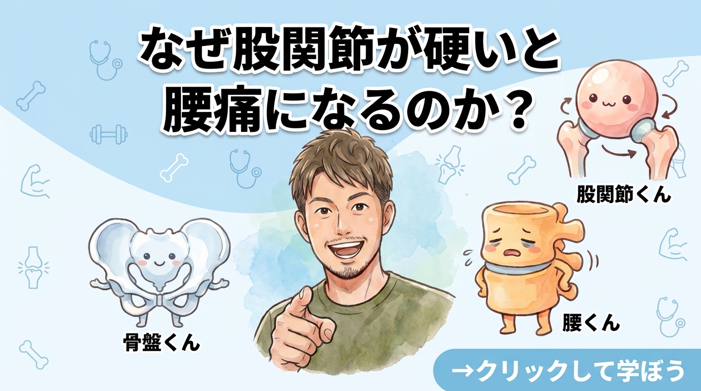 【何故、股関節が硬いと腰痛に⁈】